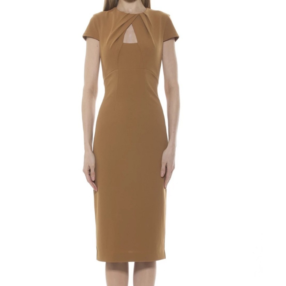 Alexia Admor Janine Draped Neck Midi Sheath Dress in Nude NWT - XS - MSRP $225